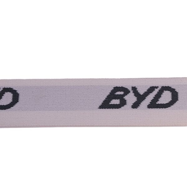 JAC-BYD